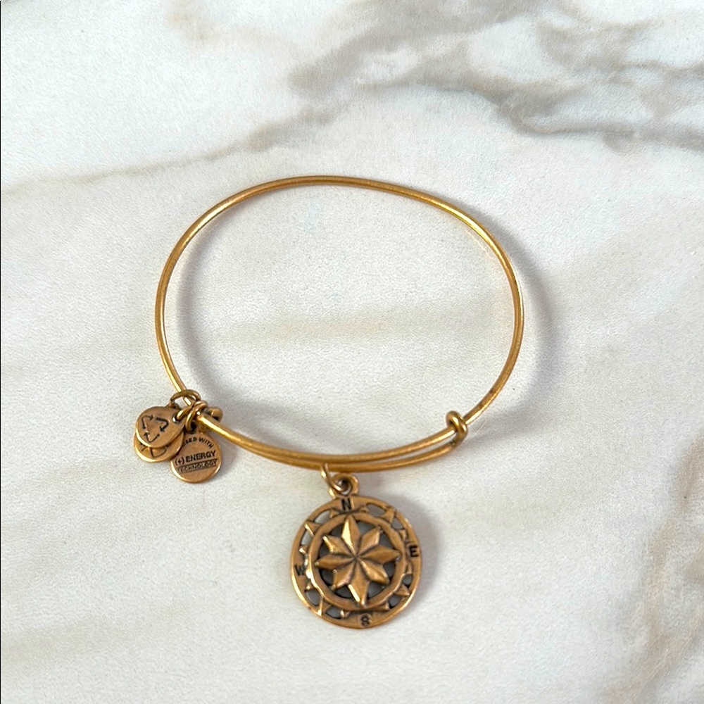 EUC Vintage Alex and Ani Compass Charm Nautical Bracelet